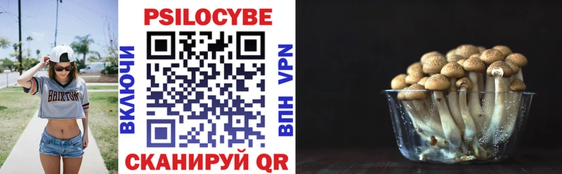 KRAKEN ССЫЛКА  Братск  Псилоцибиновые грибы Psilocybe 