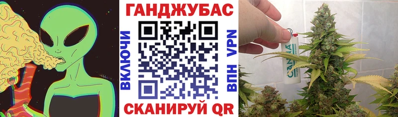 Бошки марихуана SATIVA & INDICA  блэк спрут ссылки  Братск 